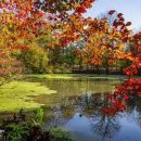 명심보감 이미지