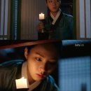 뿌리깊은나무 이미지