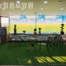 하늘정원 요양원 | 양천구 요양원 하늘정원요양원 주차