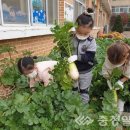 직지초교 병설유치원 이미지