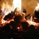 소나무황토펜션 이미지