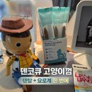 삼성덴탈 | 덴코큐 고양이껌으로 관리하는 집사표 구강케어｜고양이양치껌 솔직 후기