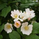 꽃향기어린이집 이미지