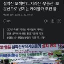 설악산 오색만?...지리산 ·무등산 ·보문산으로 번지는 케이블카 추진 붐 이미지