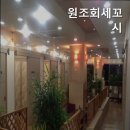 원조회세꼬시