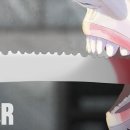 낙치(落齒) 이미지