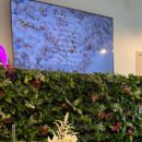 은혜쉼터 이미지