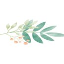 메이씨엘 이미지