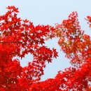 리딩앤영어교습소 이미지