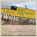 파인애플 | 오키나와 아기랑 필수 관광지 파인애플파크 후기 들려드려요