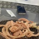 한마당실내포차 이미지
