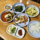 청호유통 | 241201: 동루골막국수, 비마트 고기파전, 참치쌈장, 식세기 클리너, 고양이 폐 침윤, 첫눈, 최월선...