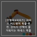 퍼피즈 | [강형욱X퍼피즈] 퍼피즈 어드벤처 목줄 추천, 강아지 산책이 즐거워지는 하네스 목줄
