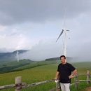 장수하늘소목장 | D 20 대관령 삼양목장, 정동진