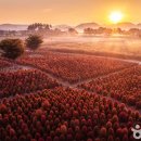 갯골생태공원(소금창고) 이미지