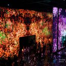 아르떼뮤지엄부산 이미지