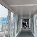 KLM 네덜란드항공 암스테르담 경유 캐리어분실 수화물지연 보상 후기