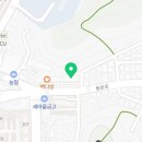 용인대 대동 태권도 이미지