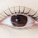 김채원W뷰티 이미지