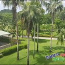 피닉스클럽 이미지