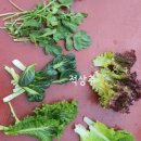 청암농장 이미지