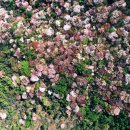 하늘봄사진관 이미지