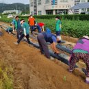 봉산면 보건지소 이미지