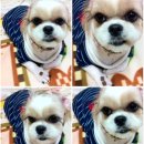 연  평 이미지