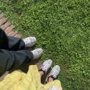 용산기지 옛 미군장교숙소(현 용산공원) 이미지