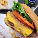 대전탄방초교 | 대전 탄방동 코코벅 솔직 후기 대전수제버거맛집 내돈내산