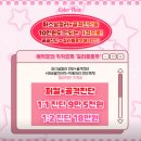 퀄리티플로우 | 부평 퍼스널컬러 골격진단 컬러플로우 진단후기 가성비 내돈내산