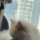 클레버인테리어&카페