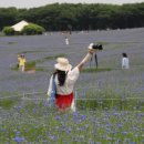 (주)수레 이미지