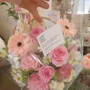 아뜰리에 몽 이미지