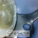 올바로치과의원 이미지