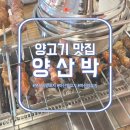 [양고기 맛집] 창원·마산 댓거리 양꼬치 "양산박"