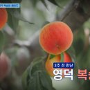 수제홀릭 이미지
