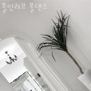 폴인러브폴댄스 이미지