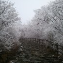 봉화산 민박 이미지