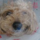 마로동물병원 이미지