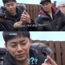 뉴마왕핫도그&커피 이미지