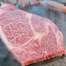 소우리돈우리 이미지