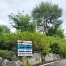 [경기도/포천] 처음 가본 카라반캠핑, 더설렘글램핑