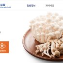 버섯정보포털 RAD Mushroom information Portal 이미지