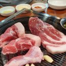 청춘막구이 이미지