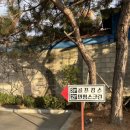3호선 만평역 앞 녹지대 | 대구 실내 골프연습장 [골프킹스] 트랙맨 1:1 레슨 후기