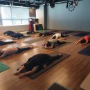 더 올 요가 이미지