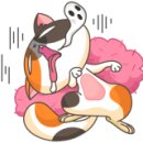 태권농장 이미지
