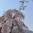 스테이온 119 이미지