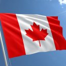 달콤한 나무 이미지